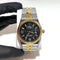 Rolex Land-Dweller